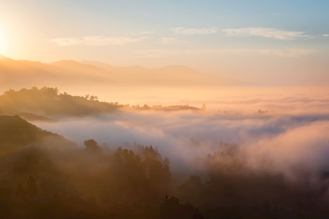 独享专送浸透至多元场景，顺丰同城多个品类配送单量同比数倍增加
